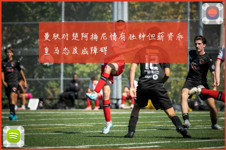 曼联对楚阿梅尼情有独钟但薪资和皇马态度成障碍